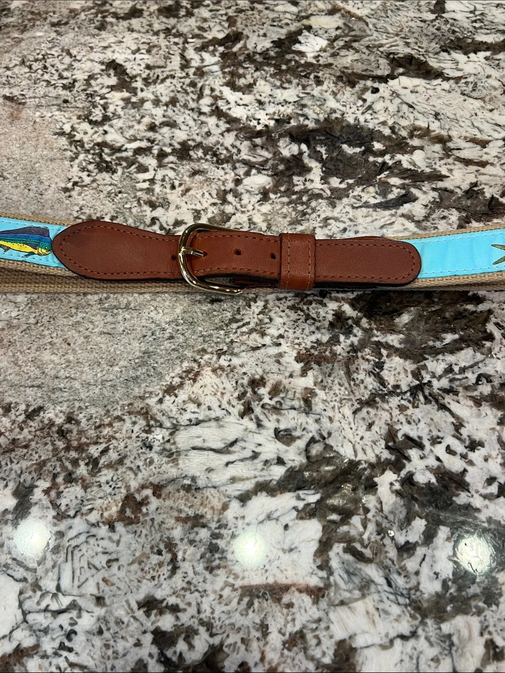Men's Blue Fish-Print Webbing Belt with Brown Leather Trim